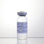 Kanamycin Sulfate, 100-x solution, 10 mg/ml